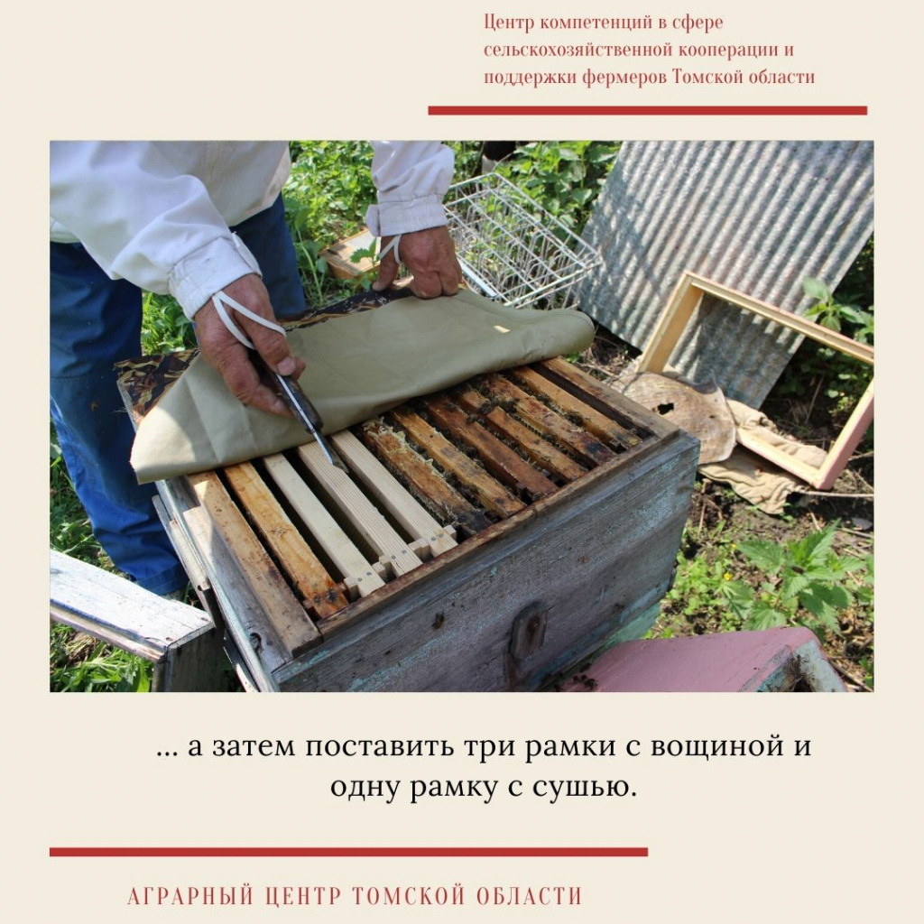мастер-класс  6.jpg